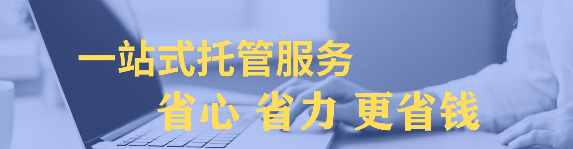 原阳竞价托管