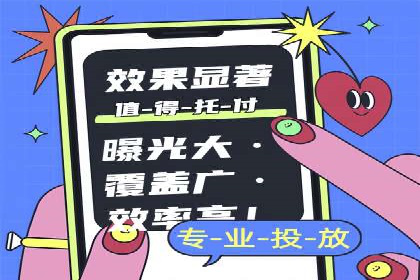 百度竞价代运营成功案例解析